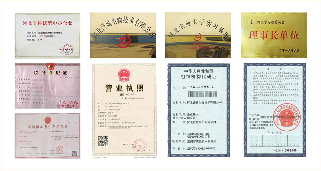 企業(yè)榮譽(yù)資質(zhì)
