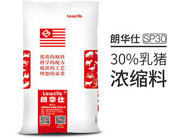 30%乳豬