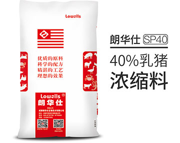 40%乳豬